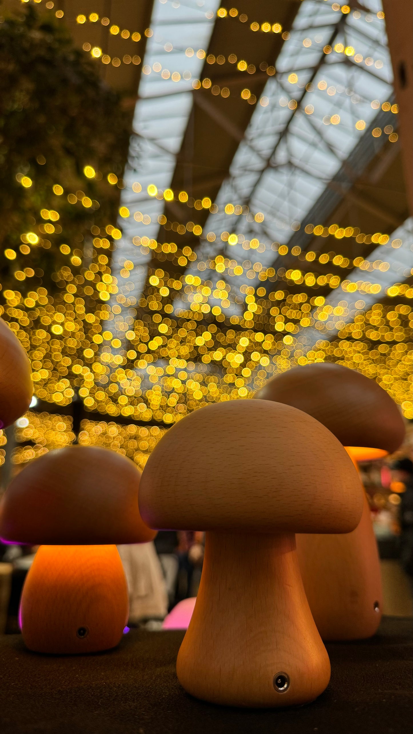 Wood Mushroom Night Light