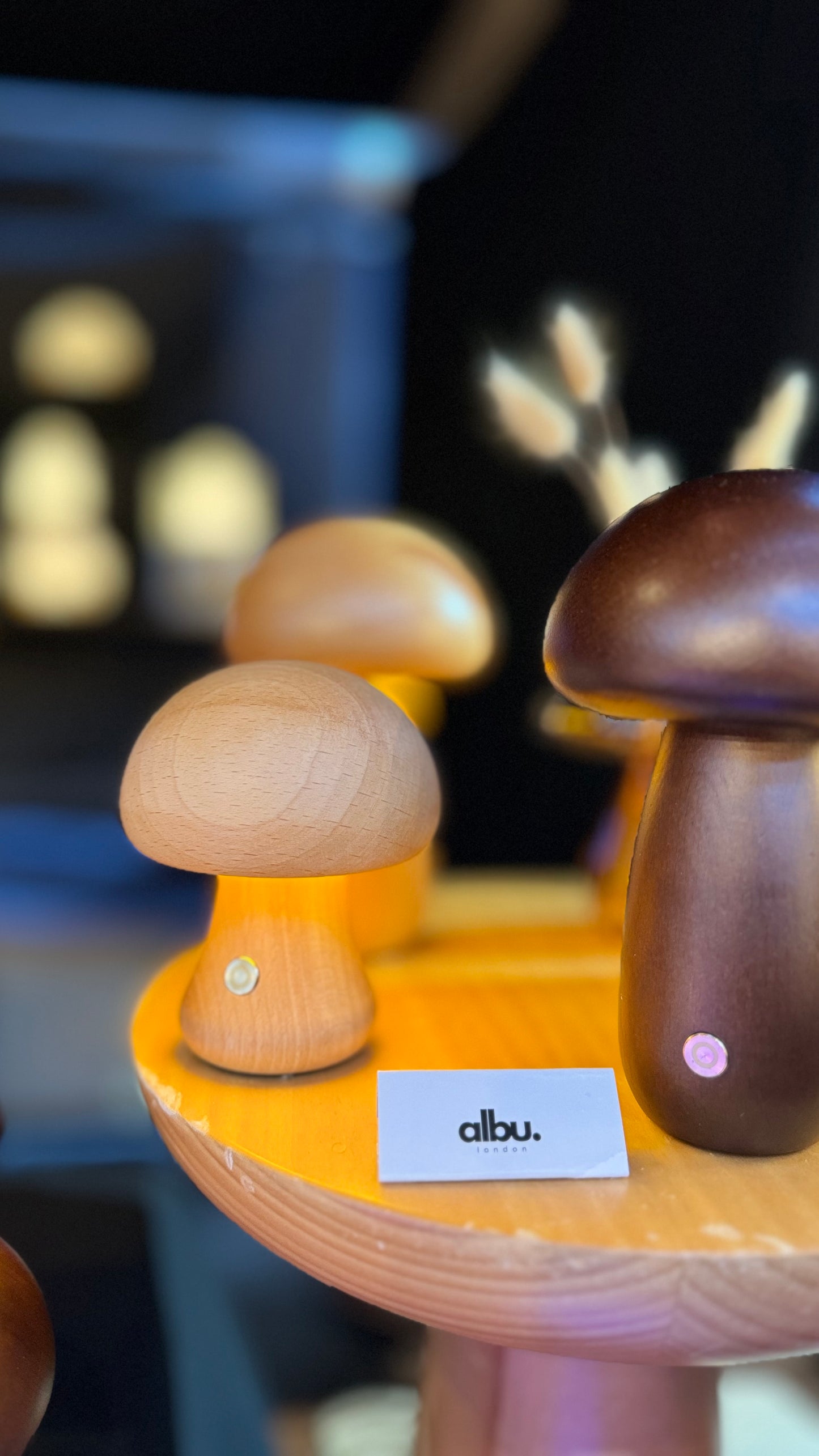 Wood Mushroom Night Light